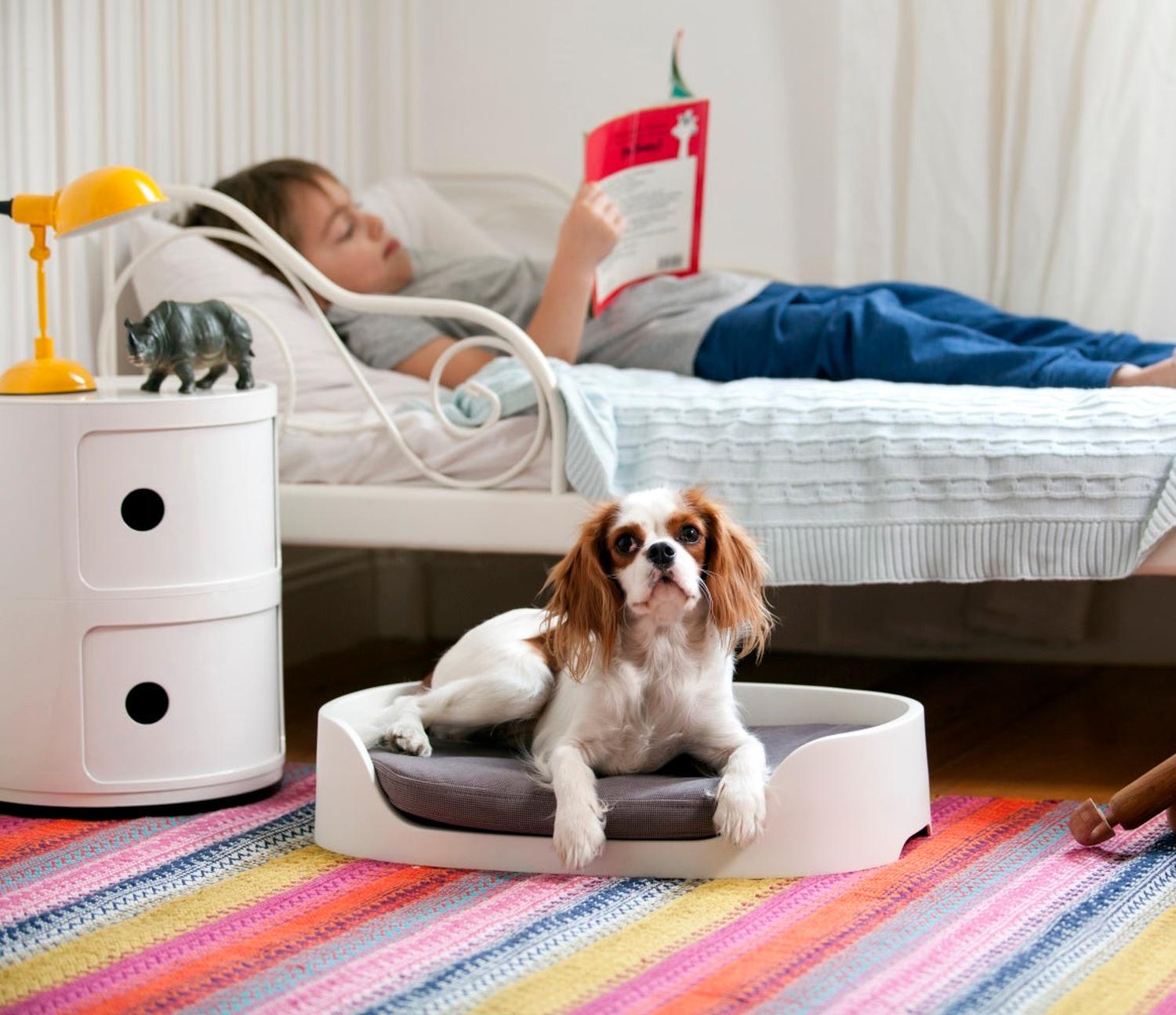 jpg_1500x1500_56885933